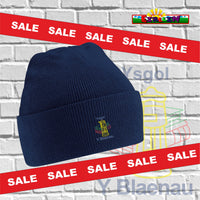 Ysgol Blaenau SALE