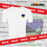 Ysgol Brynaman SALE