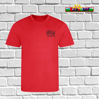 Custom Dragon T-Shirt Y Ddraig - Red or Black