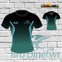 Ysgol Bro Dinefwr Sport T-Shirt (Regular & Fitted)