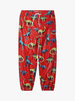 Hatley Painted Dinos Colour Changing Splash Pants