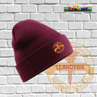 Ysgol Llandybie Winter Hat