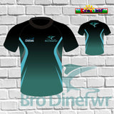 Ysgol Bro Dinefwr Sport T-Shirt (Regular & Fitted)